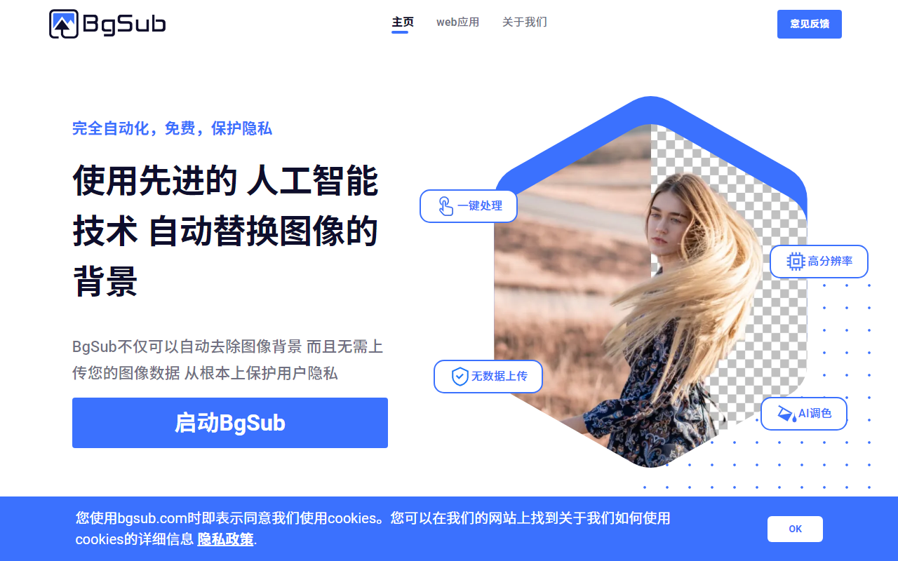 BgSub 官网大屏与核心定位展示