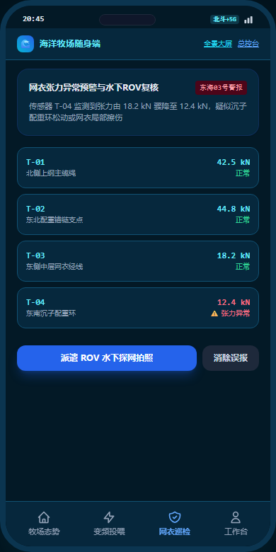 网衣巡检