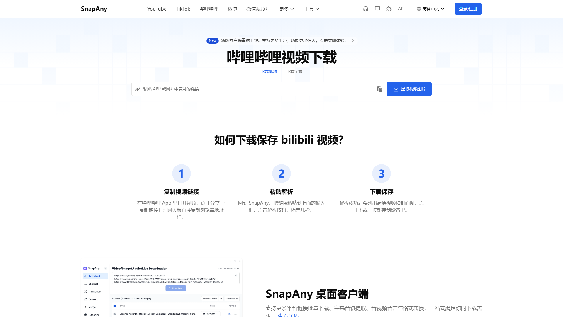 实操演示：B站高清视频与独立字幕提取